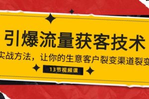 （10276期）《引爆流量 获客技术》实战方法，让你的生意客户裂变渠道裂变（13节）