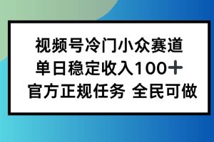 （16234期）视频号小众赛道，单日稳定收入100+，适合所有人