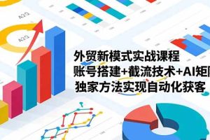 （16496期）外贸新模式实战课程，账号搭建+截流技术+AI矩阵+独家方法实现自动化获客