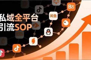 (16994期)私域全平台引流SOP,抖音/快手/小红书/微信/QQ/B站/闲鱼等,技术合集,高效转化公域流量